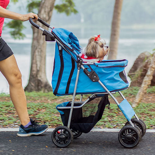 Why Do Pets Need Strollers? Pets' Station
