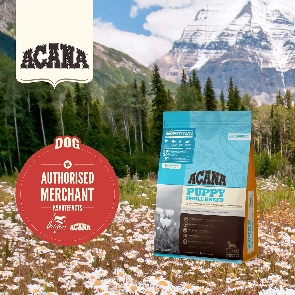 Acana heritage puppy food discount