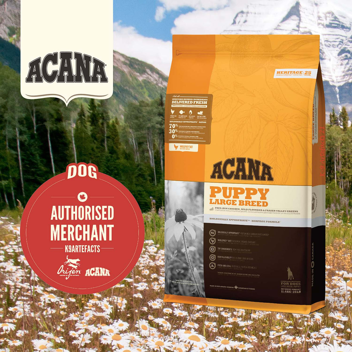 Acana Heritage Puppy Large Breed Dry Dog Food Pets Station