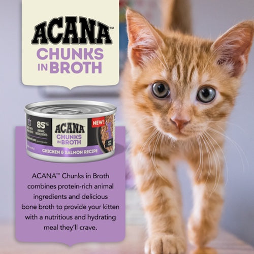 Acana Chunks In Broth Chicken & Salmon Kitten Canned Cat Food