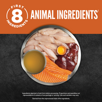 Orijen Chunks & Shreds Original Entree In Bone Broth Cat Canned Food