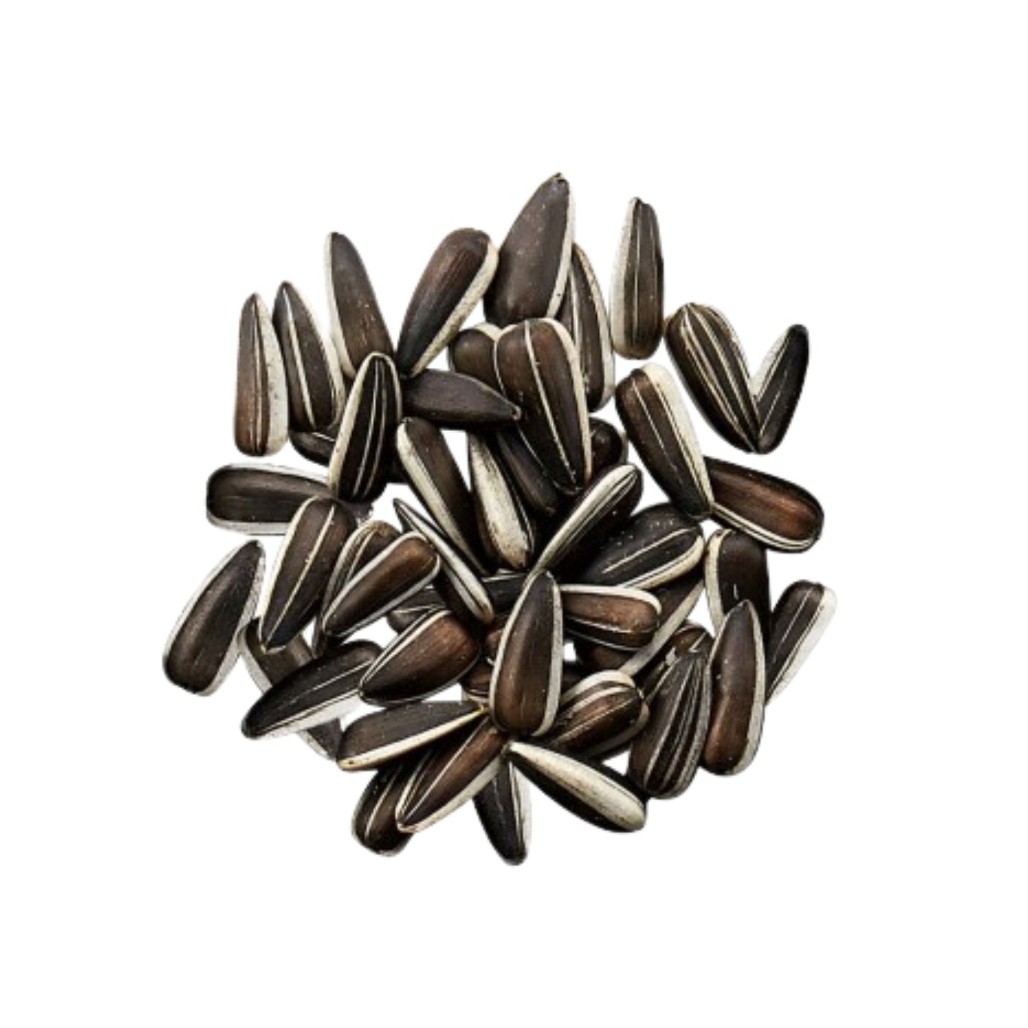 Marukan Sunflower Seeds for Small Animals