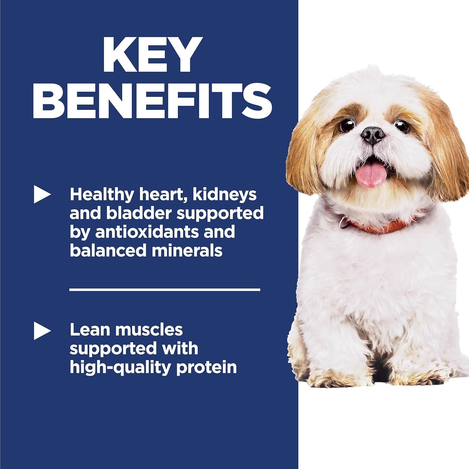 Science Diet Mature Longevity Small Bites Chicken Meal Rice & Barley Recipe Dry Dog Food