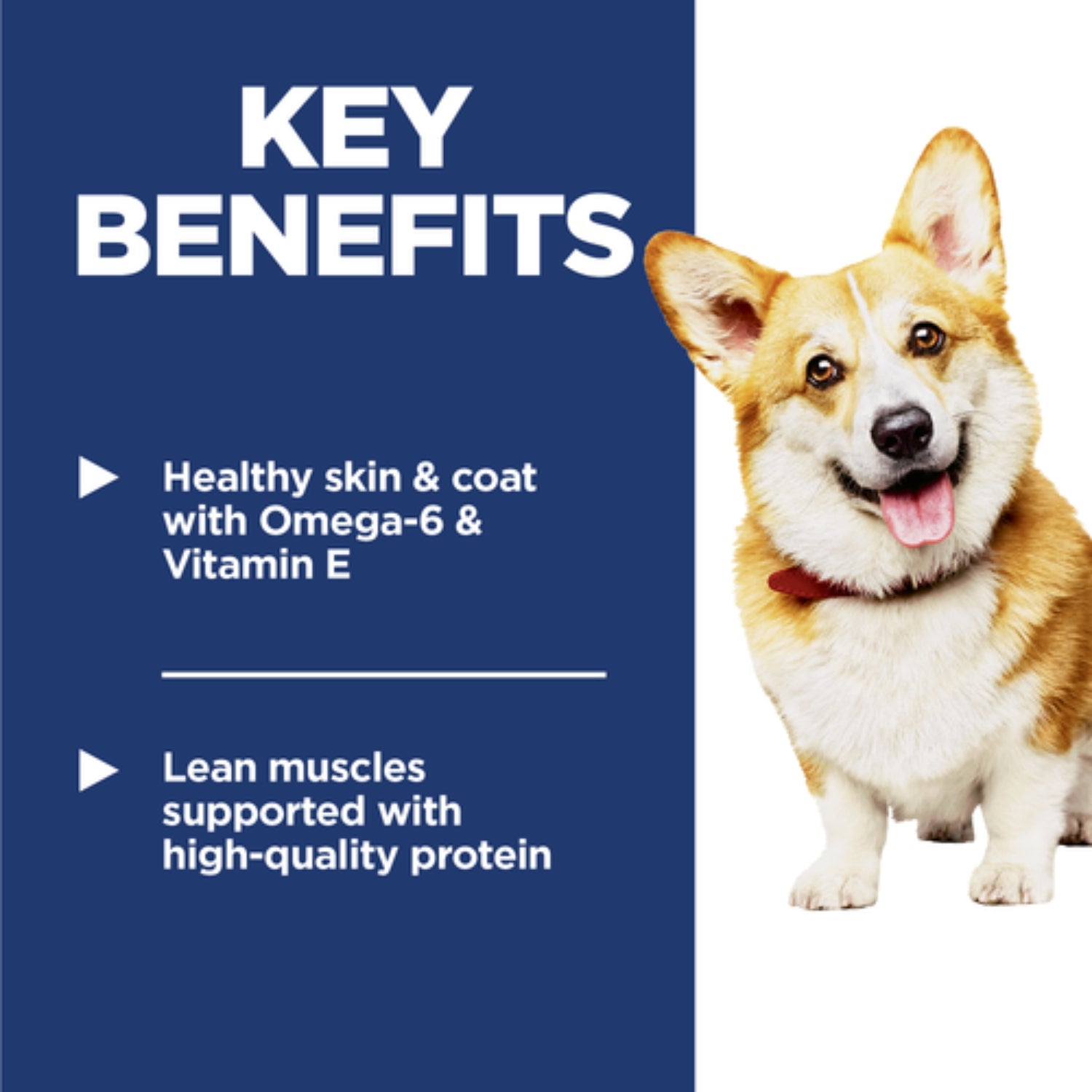 Science Diet Adult Small Bites Chicken & Barley Recipe Dry Dog Food