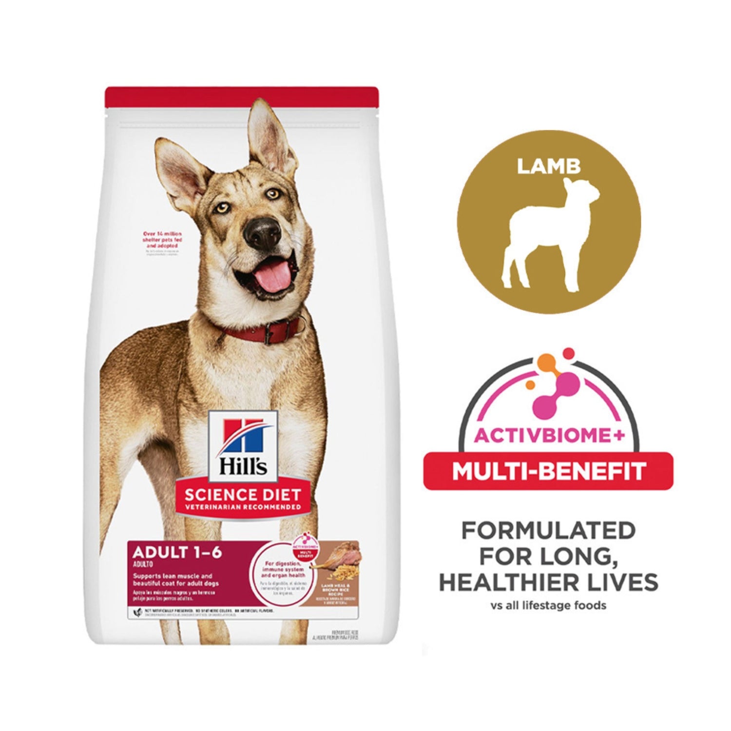 Science Diet Adult Lamb Meal & Brown Rice Recipe Dry Dog Food