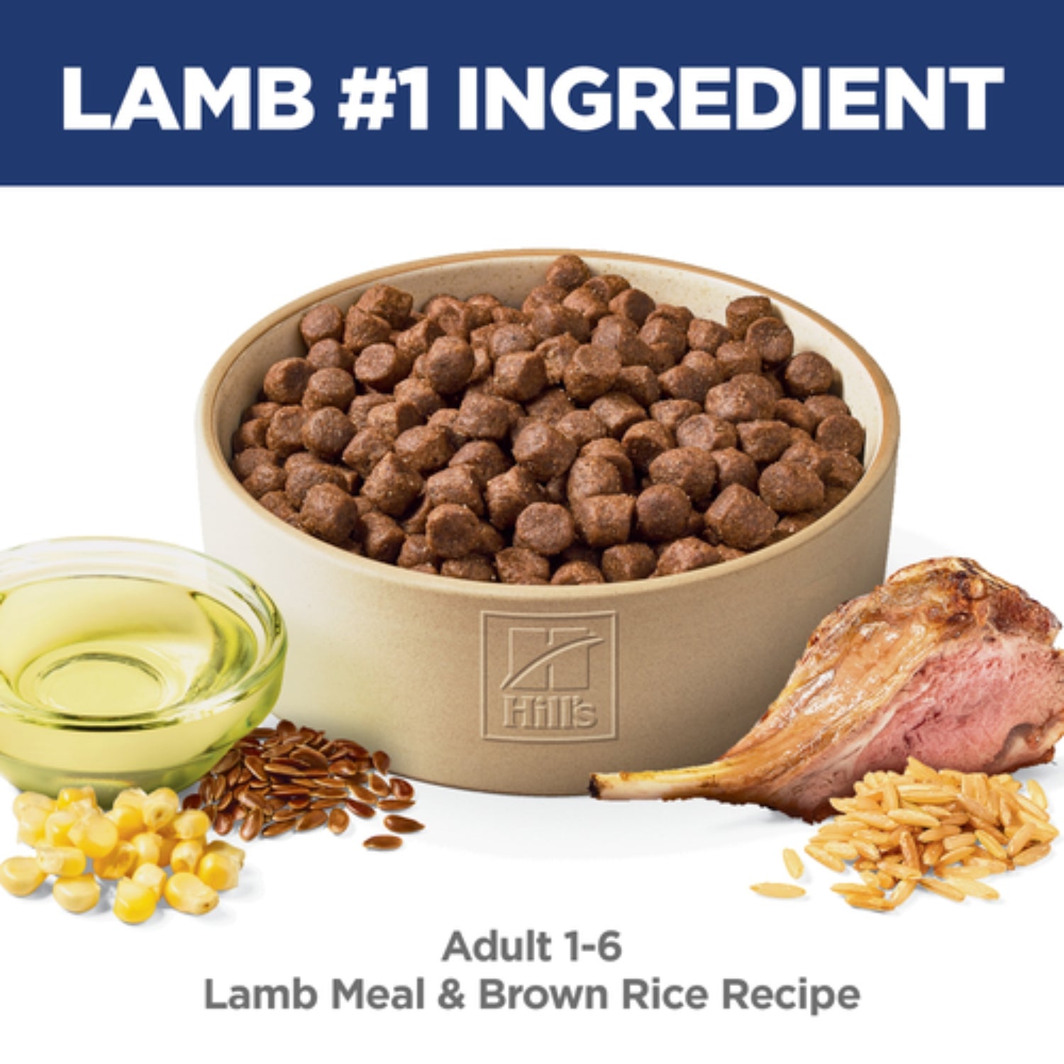Science Diet Adult Lamb Meal & Brown Rice Recipe Dry Dog Food