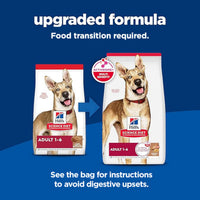Science Diet Adult Lamb Meal & Brown Rice Recipe Dry Dog Food