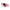 Daily Delight Jelly Skipjack Tuna Wet Cat Food - Carrot