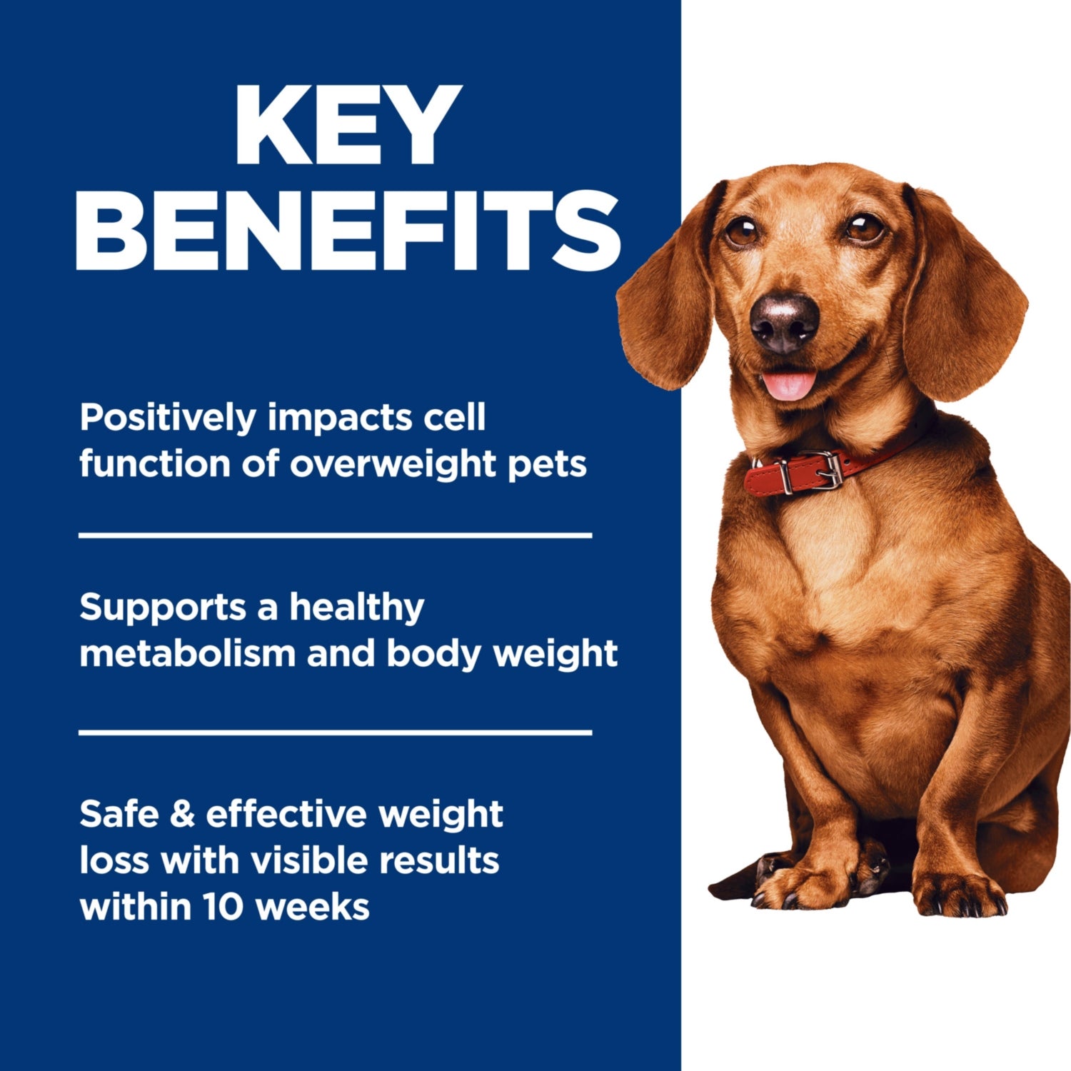 Science Diet Adult Perfect Weight Small & Mini Dry Dog Food