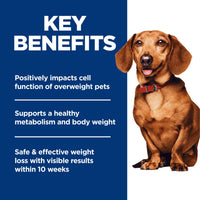Science Diet Adult Perfect Weight Small & Mini Dry Dog Food