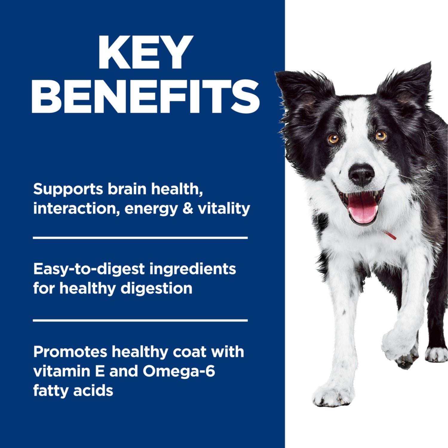 Science Diet Adult 7+ Senior Vitality Dry Dog Food