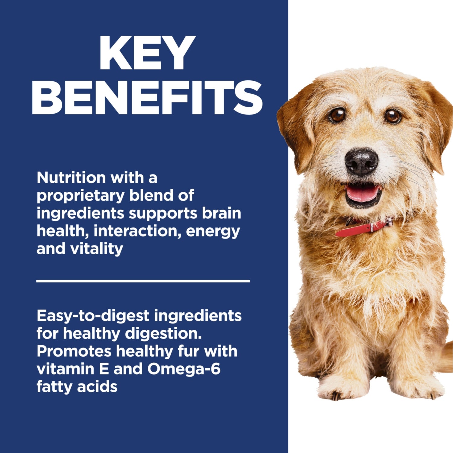 Science Diet Adult 7+ Senior Vitality Small & Mini Dry Dog Food