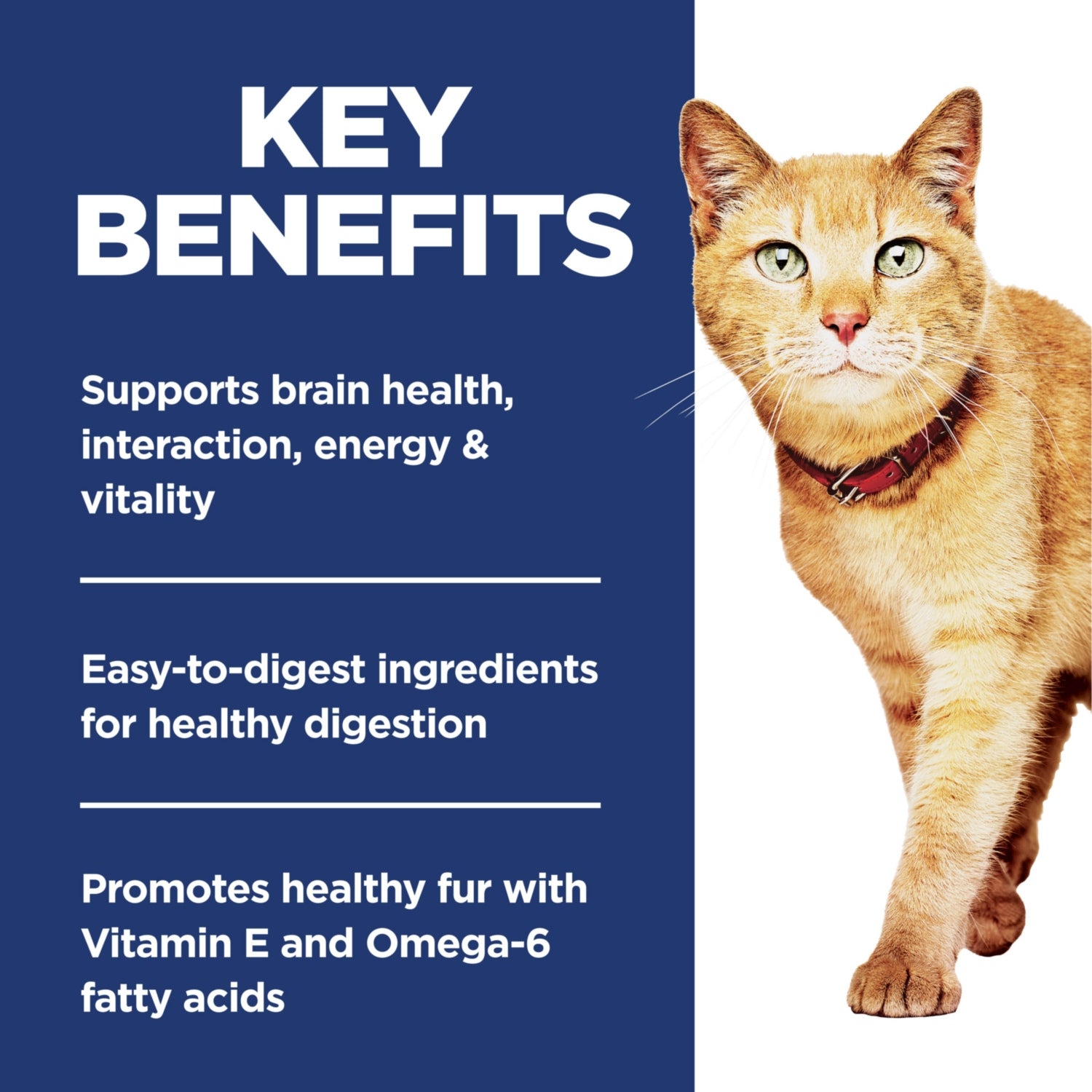 Science Diet Adult 7+ Senior Vitality Dry Cat Food