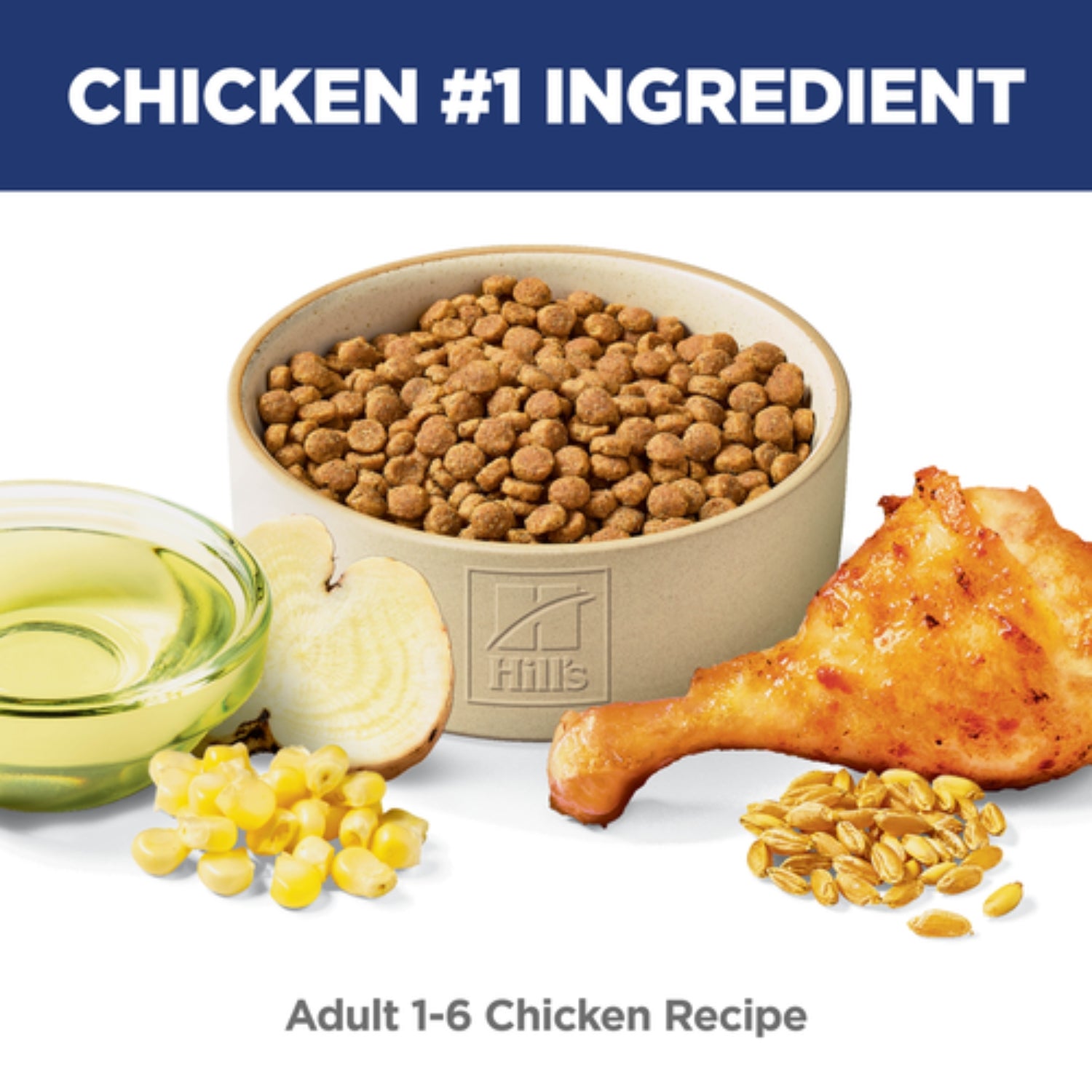 Science Diet Adult Chicken Recipe Dry Cat Food