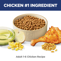 Science Diet Adult Chicken Recipe Dry Cat Food