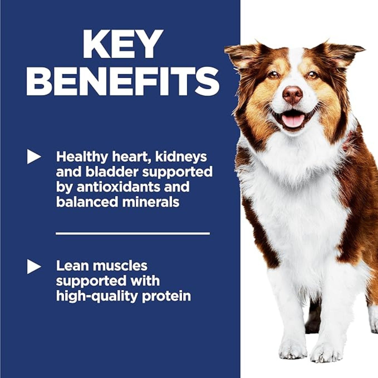 Science Diet Adult 7+ Mature Chicken Meal, Barley & Rice Recipe Dry Dog Food