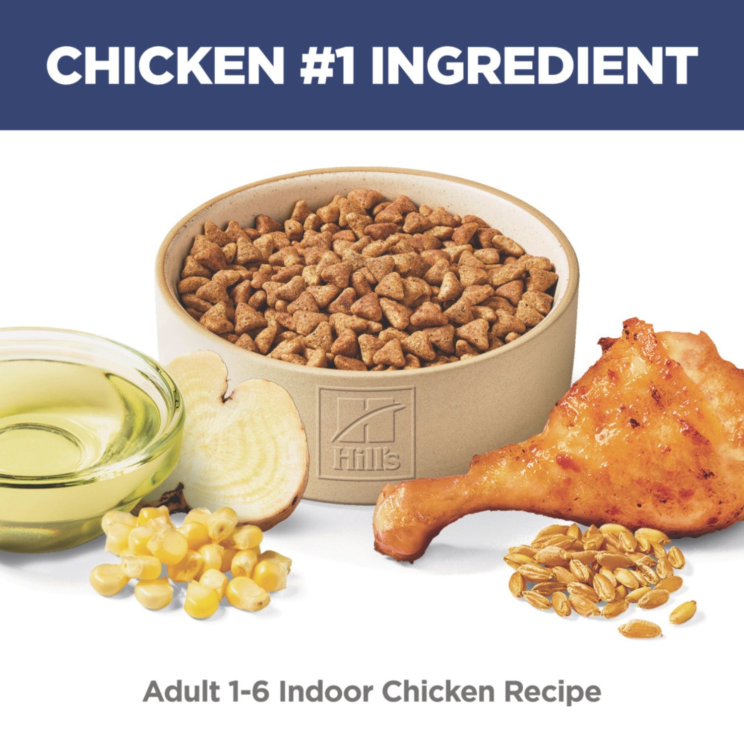Science Diet Adult Indoor Dry Cat Food