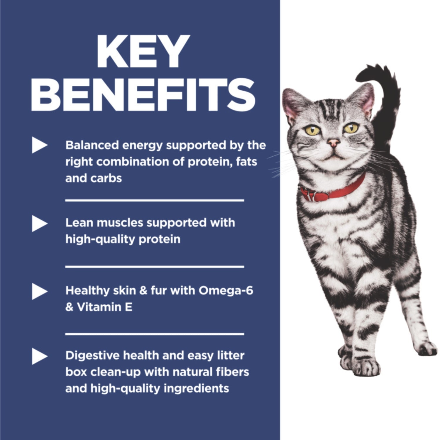Science Diet Adult Indoor Dry Cat Food