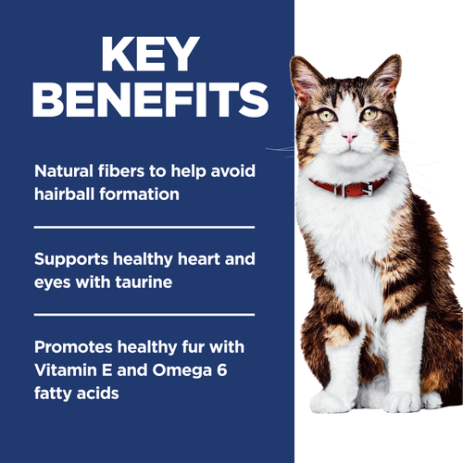 Science Diet Adult Hairball Control Dry Cat Food