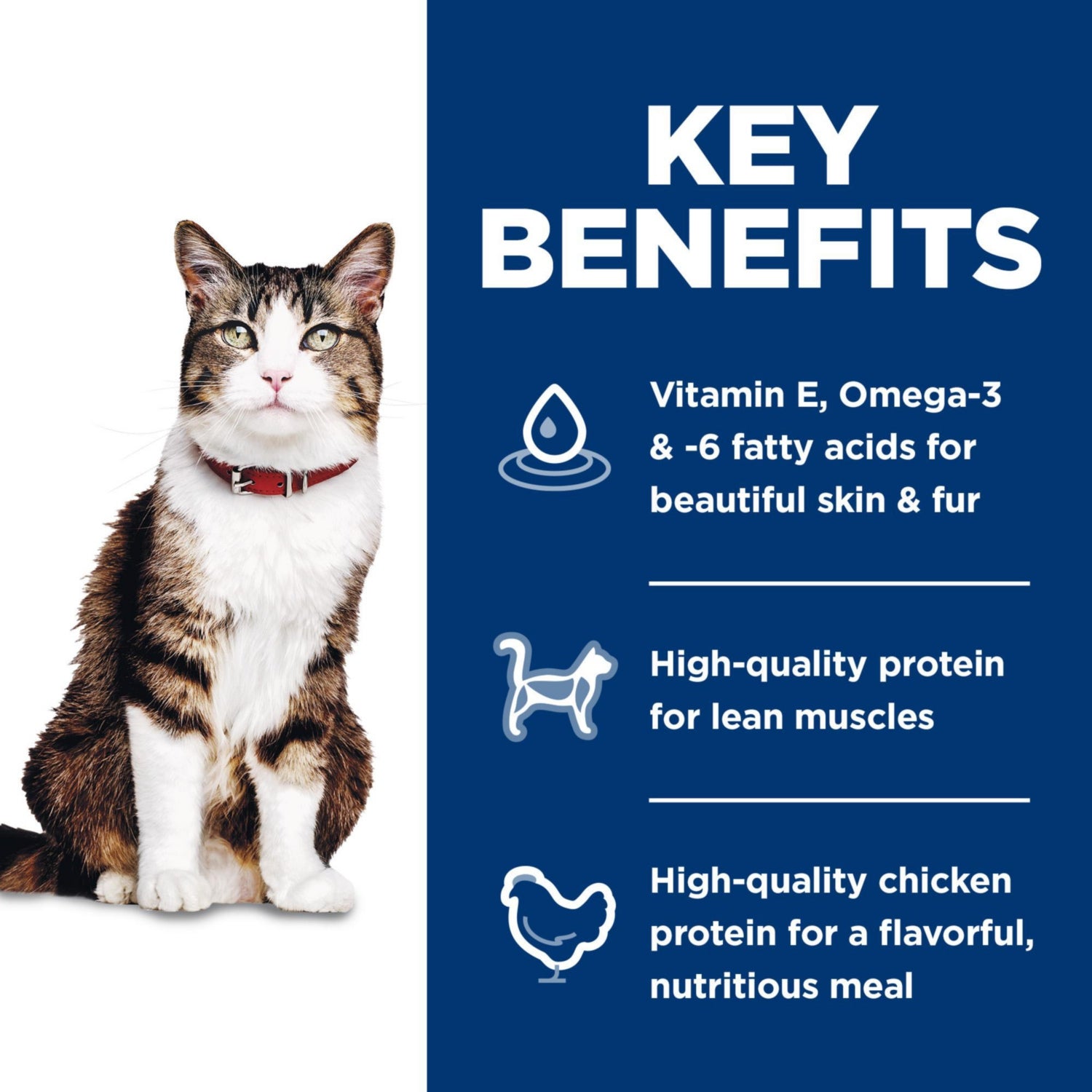 Science Diet Adult Hairball Control Dry Cat Food