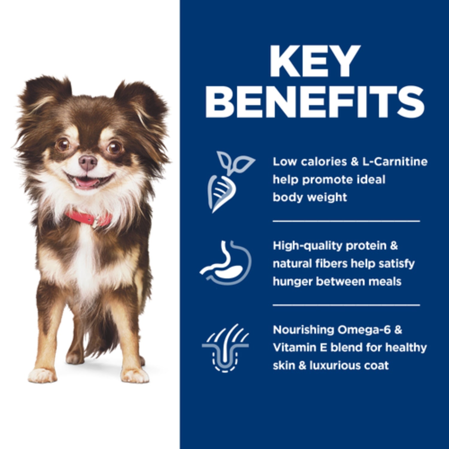 Science Diet Adult Sensitive Stomach And Skin Small & Mini Chicken Recipe Dry Dog Food
