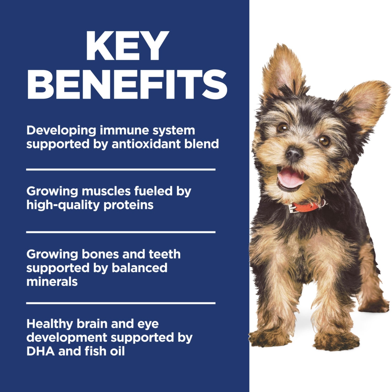 Science Diet Puppy Small & Mini Chicken & Brown Rice Recipe Dry Dog Food