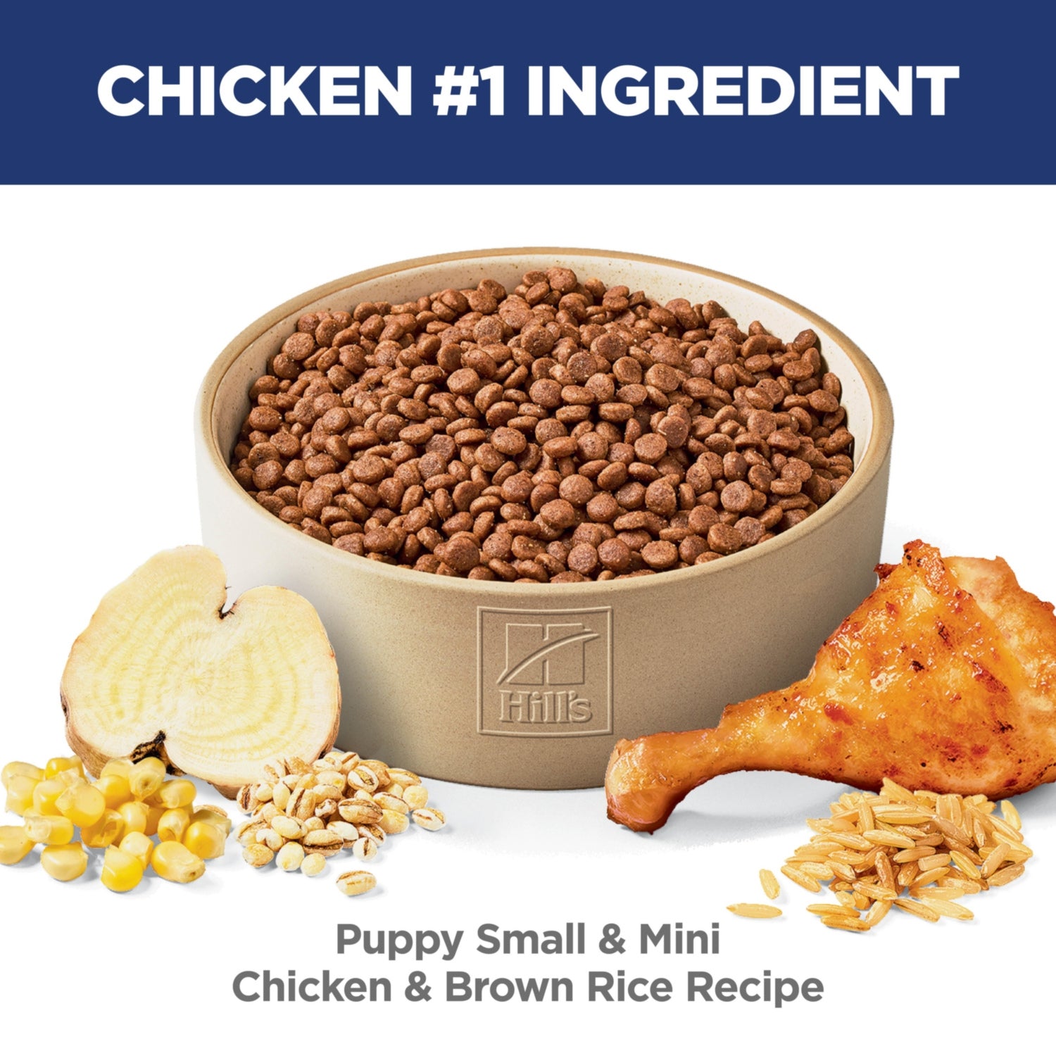 Science Diet Puppy Small & Mini Chicken & Brown Rice Recipe Dry Dog Food
