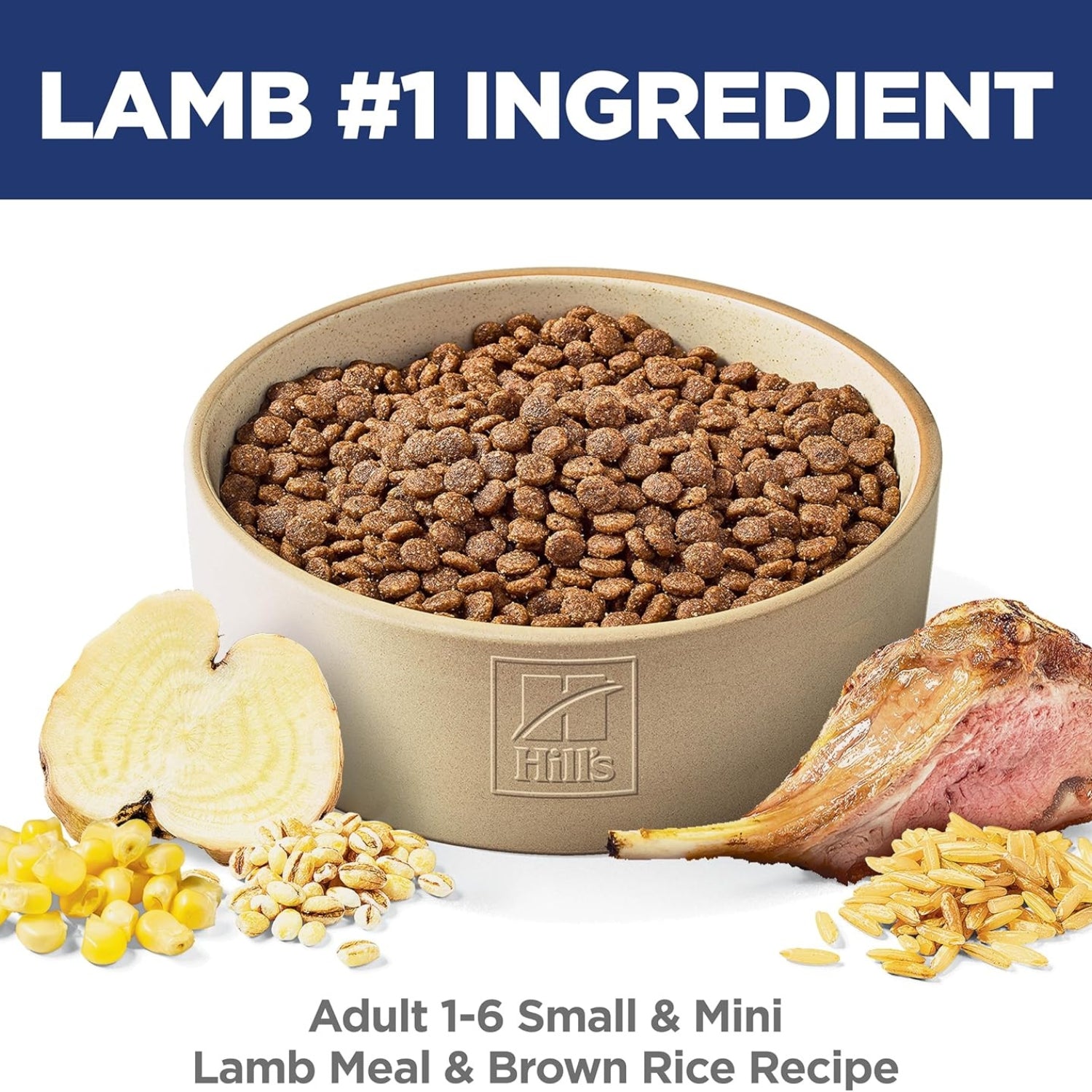 Science Diet Adult Small & Mini Lamb Meal & Brown Rice Dry Dog Food
