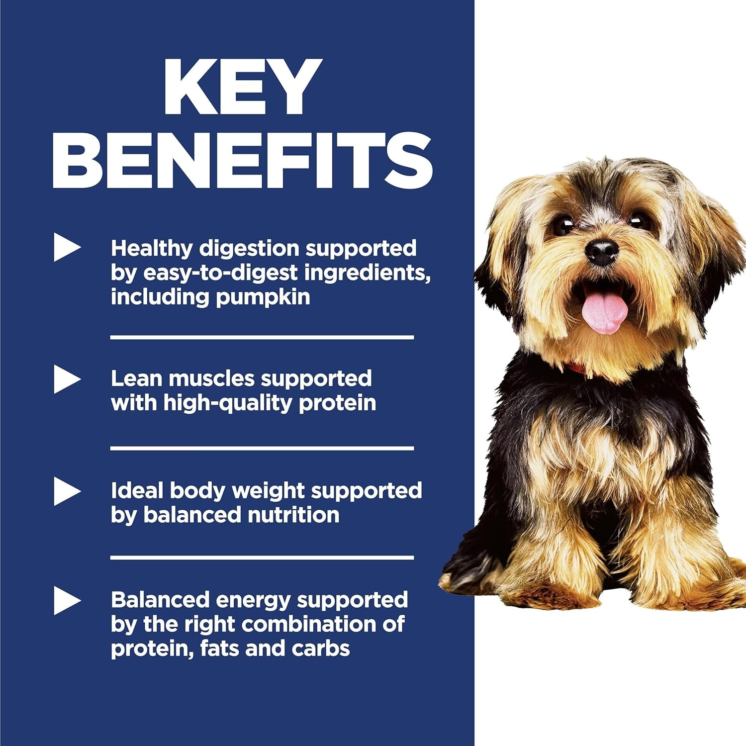 Science Diet Adult Small & Mini Lamb Meal & Brown Rice Dry Dog Food