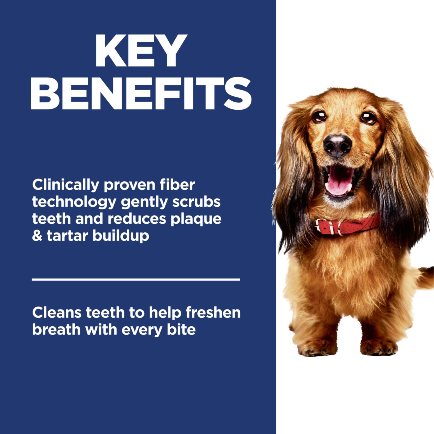 Science Diet Adult Oral Care Chicken, Rice & Barley Recipe Dry Dog Food