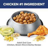 Science Diet Adult Oral Care Chicken, Rice & Barley Recipe Dry Dog Food