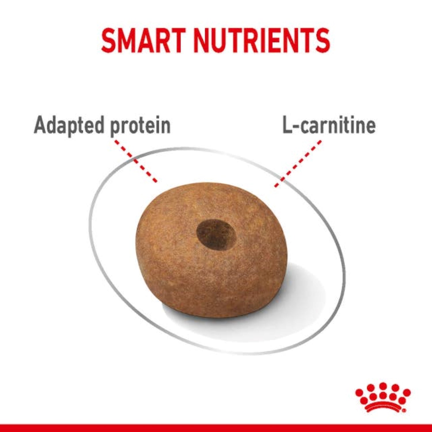 Royal Canin Medium Light Weight Care Dry Dog Food