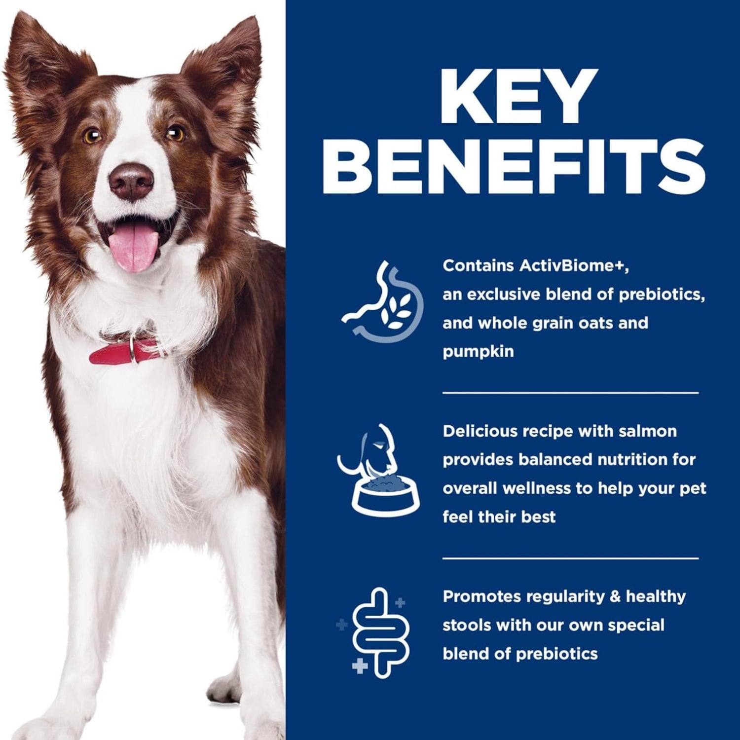 Science Diet Adult Perfect Digestion Salmon, Whole Oats & Brown Rice Recipe Dry Dog Food