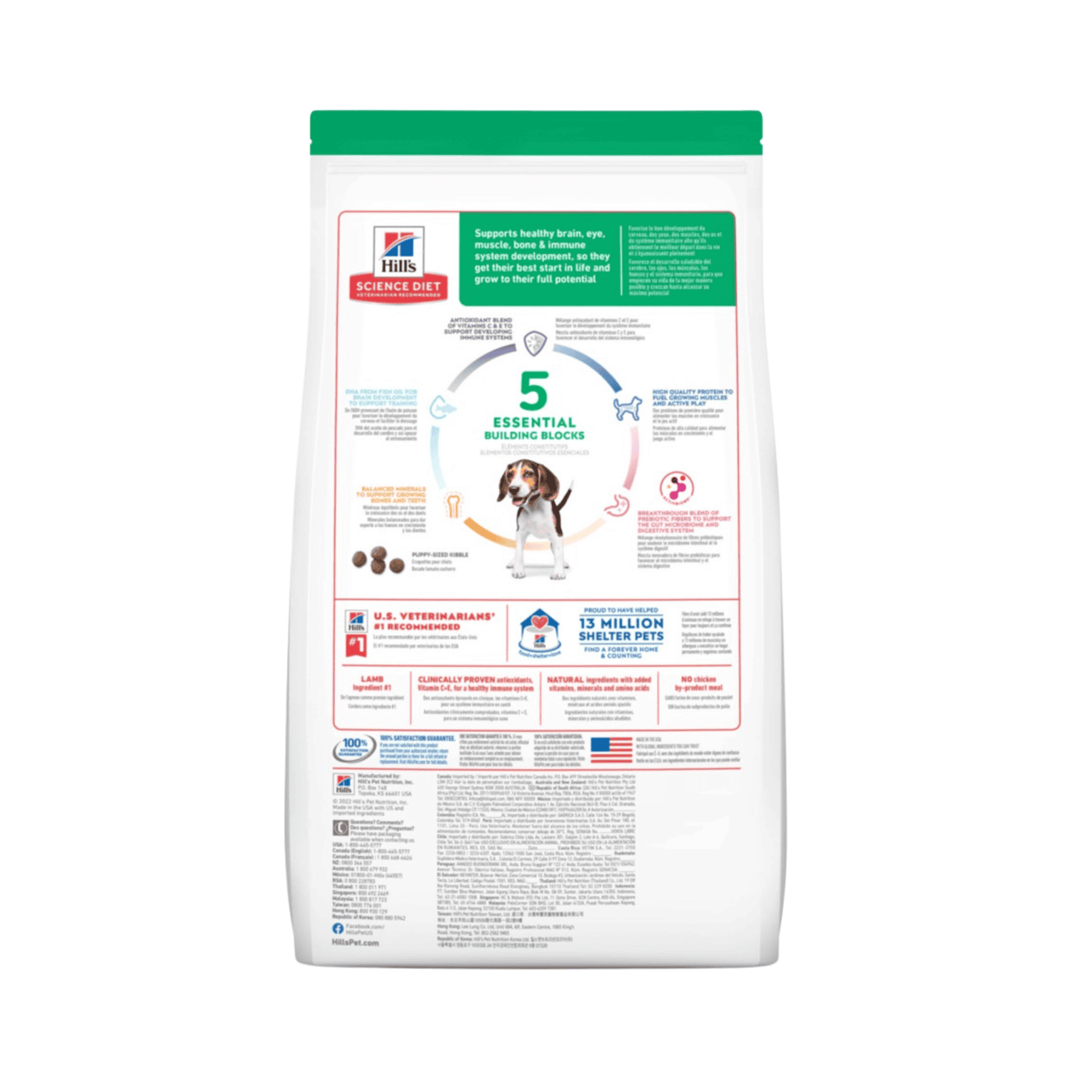 Hill's science diet puppy feeding chart clearance