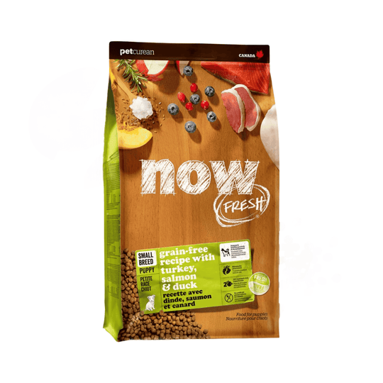 Now Fresh Turkey Salmon & Duck Grain-Free Dry Puppy Food
