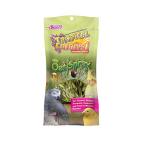 Tropical Carnival® Natural Oat Spray For Pet Birds