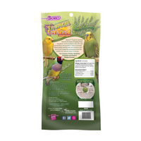 Tropical Carnival® Natural Oat Spray For Pet Birds