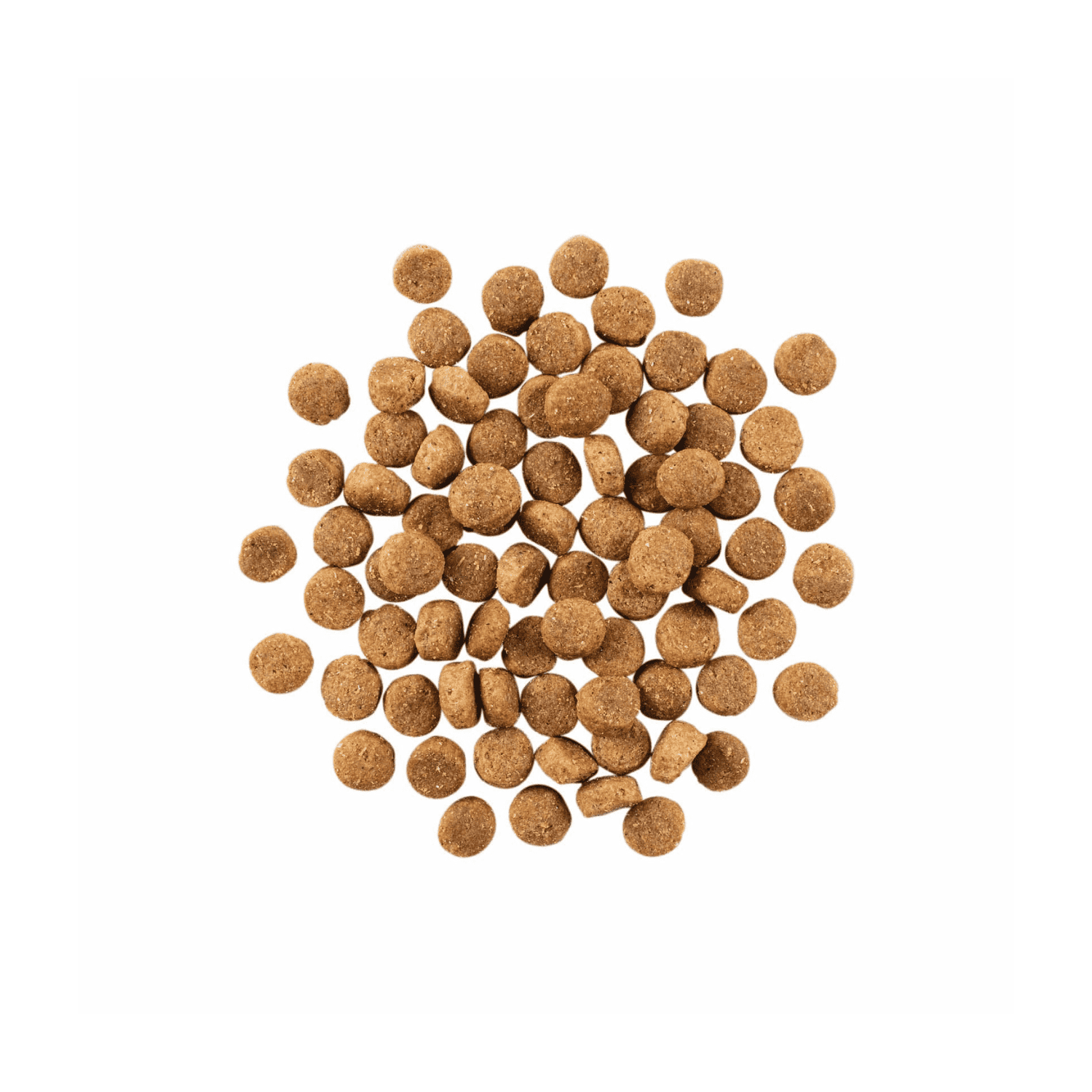 Go! Solution Skin+Coat Care Duck Recipe with Grains Dog Dry Food