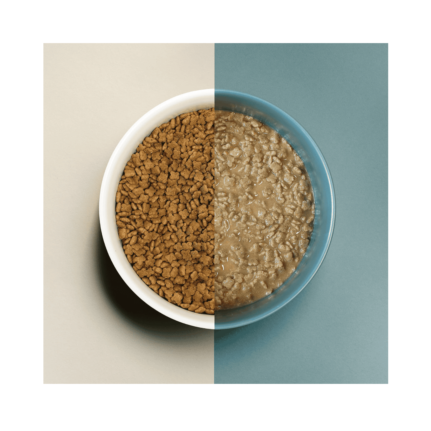 Now Fresh Good Gravy Salmon Coated in Bone Broth for Dog Food