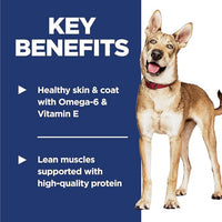 Science Diet Adult Salmon & Brown Rice Recipe Dry Dog Food