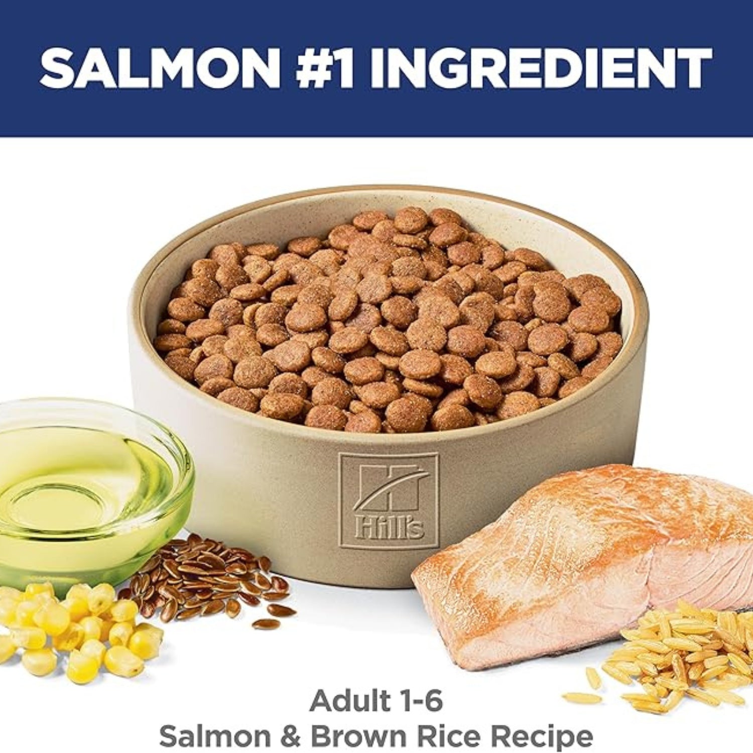 Science Diet Adult Salmon & Brown Rice Recipe Dry Dog Food