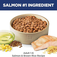 Science Diet Adult Salmon & Brown Rice Recipe Dry Dog Food