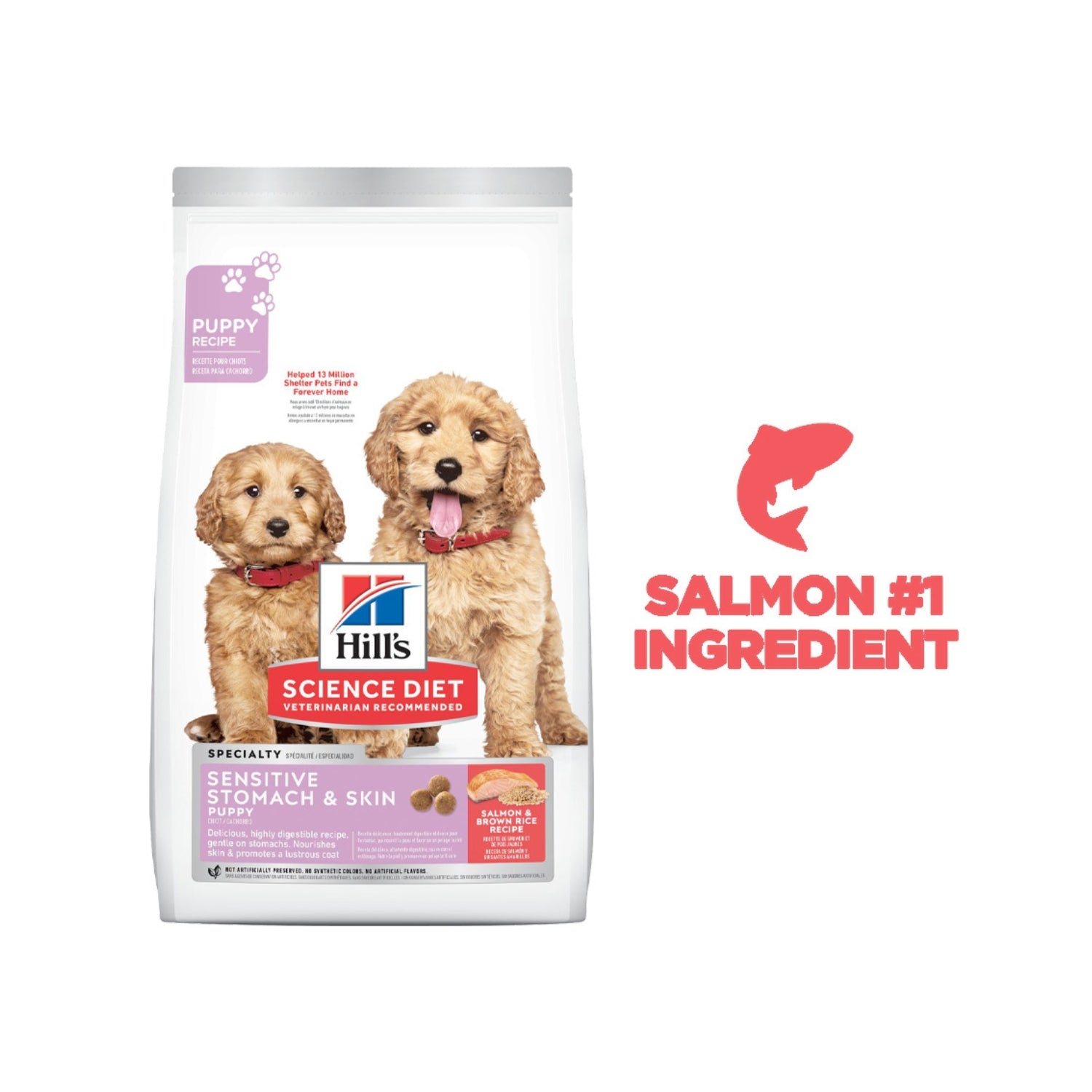 Science Diet Puppy Sensitive Stomach & Skin Salmon & Brown Rice Recipe Dry Dog Food
