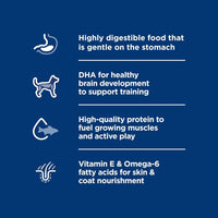 Science Diet Puppy Sensitive Stomach & Skin Salmon & Brown Rice Recipe Dry Dog Food