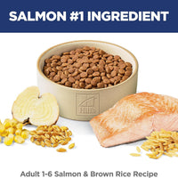 Science Diet Adult Salmon & Brown Rice Recipe Dry Cat Food