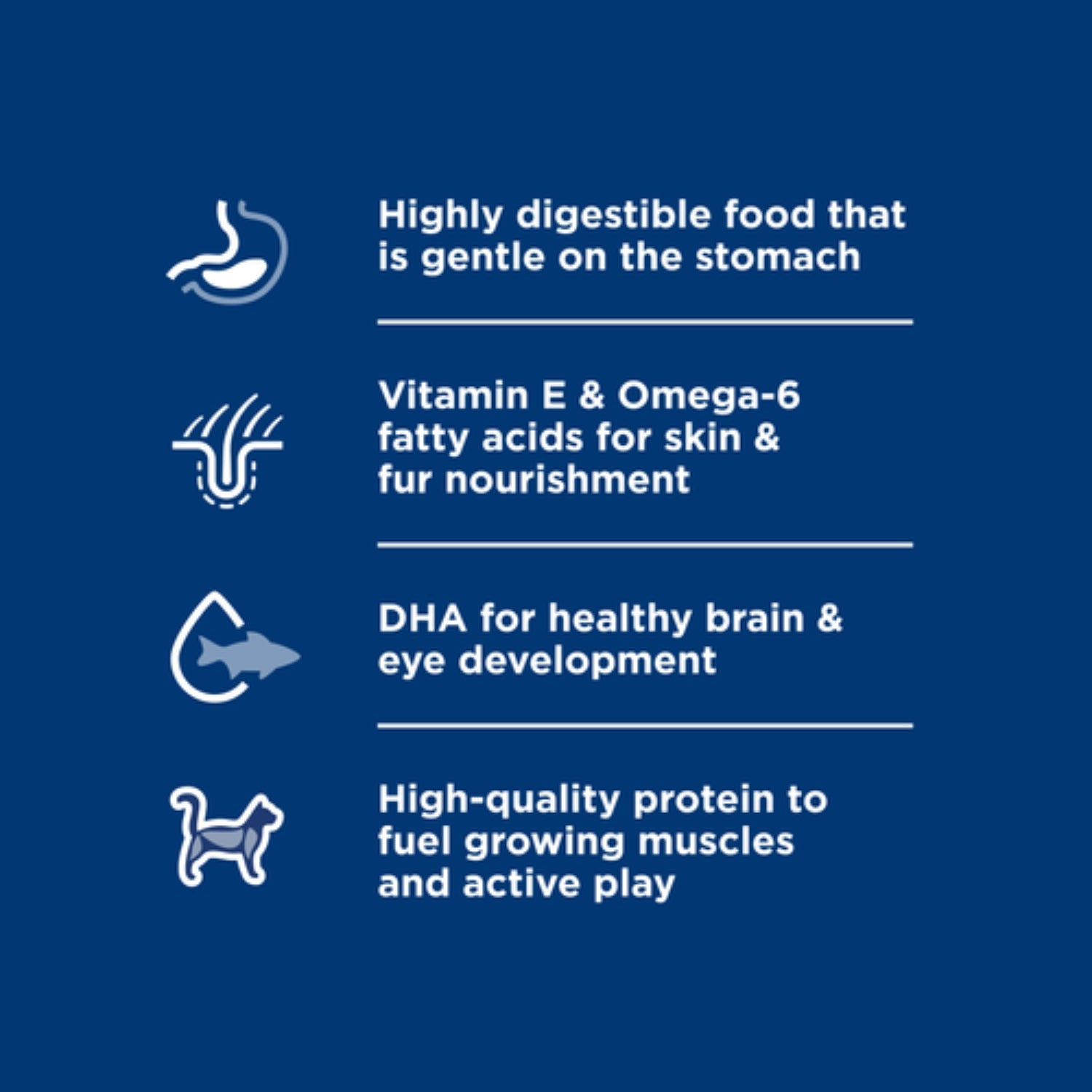 Science Diet Kitten Sensitive Stomach & Skin Salmon & Brown Rice Recipe Dry Cat Food