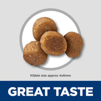 Science Diet Kitten Sensitive Stomach & Skin Salmon & Brown Rice Recipe Dry Cat Food