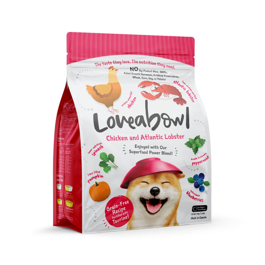 Loveabowl Grain Free Chicken & Lobster Dry Dog Food
