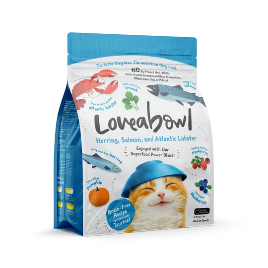 Loveabowl Grain Free Herring, Salmon & Atlantic Lobster Crab Dry Cat Food