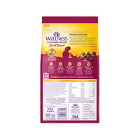 Wellness Complete Health Small Breed Just For Puppy Dry Dog Food